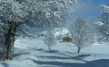 vals les bains chambres d hotes 03