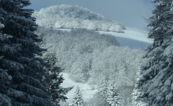 vals les bains chambres d hotes 04